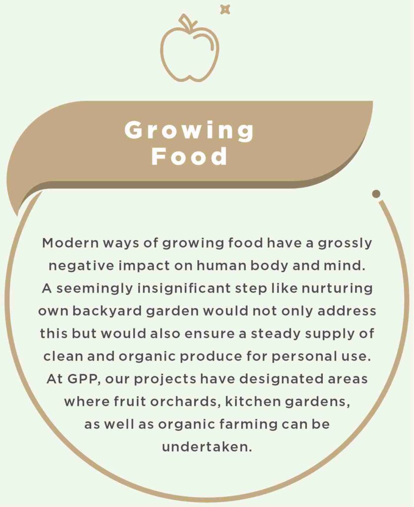Growing Food