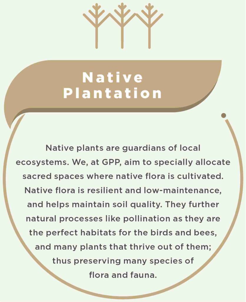 Native Plantation
