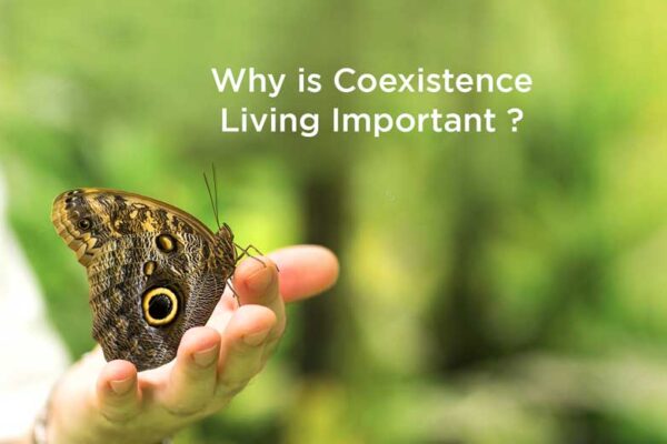 Why is Coexistence Living Important?