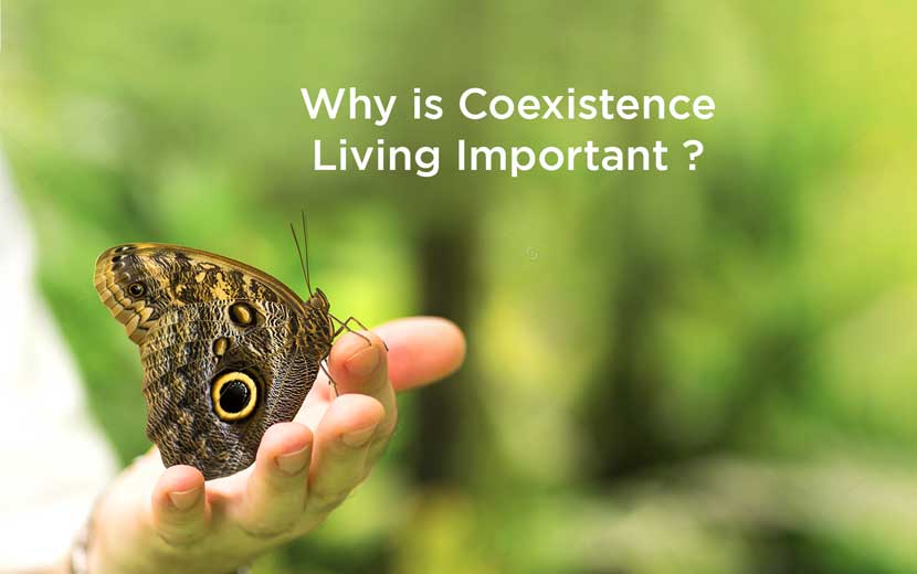 Why is Coexistence Living Important?