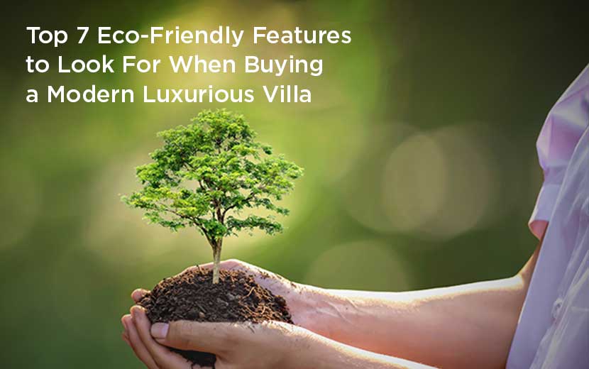 Top 7 Eco-Friendly Features to Look For When Buying a Modern Luxurious Villa