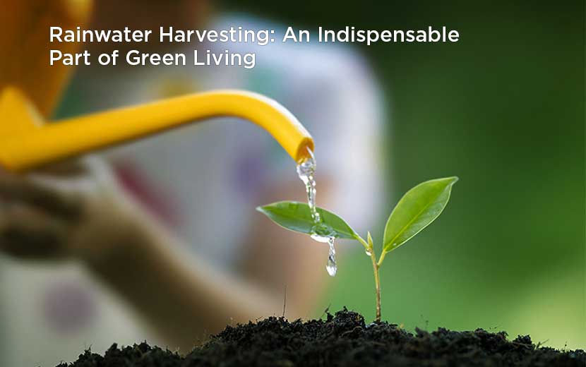 Rainwater Harvesting: An Indispensable Part of Green Living