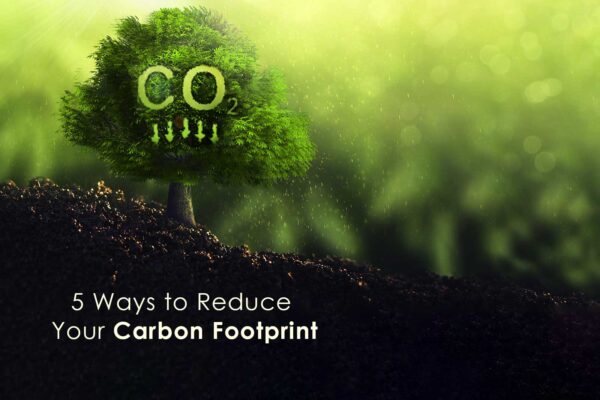 5 Ways to Reduce Your Carbon Footprint