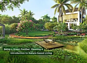 Blog on Meaning of Green Panther