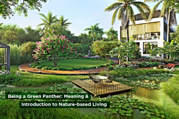 Being a Green Panther: Meaning & Introduction to Nature-based Living