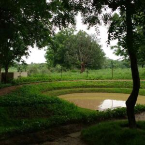 Retention Pond at Shoonya Farm, Ahmedabad